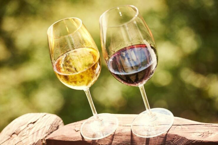 Full-Day Douro Valley Wine Tasting & Lunch & Boat Tour - Tour Details