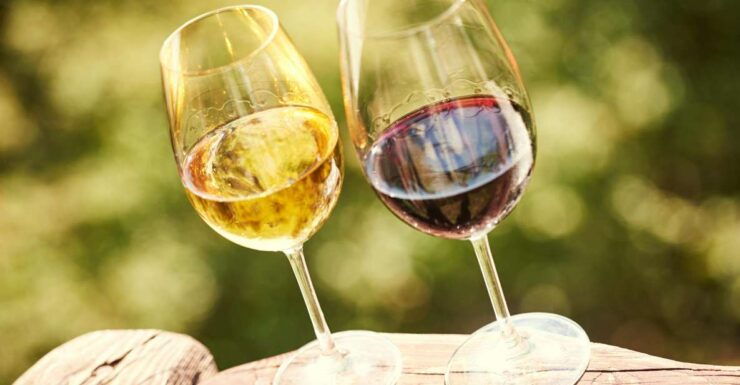 Full-Day Douro Valley Wine Tasting & Lunch & Boat Tour - Highlights