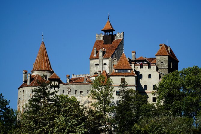 Full Day Dracula Trip in Brasov Bran and Sighisoara - Itinerary Highlights
