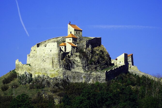 Full Day Dracula Trip in Brasov Bran and Sighisoara - Additional Information