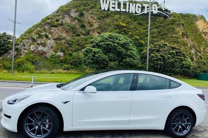 Full-Day Driver with Tesla Car-Customisable North Island Tour - Good To Know