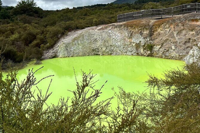 Full-Day Driver with Tesla Car-Customisable North Island Tour - An Inside Look at the North Island Experience