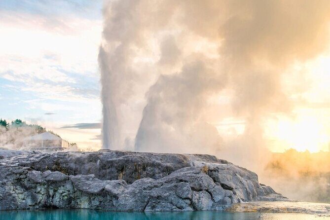 Full-Day Driver with Tesla Car-Customisable North Island Tour - Value and Practical Considerations