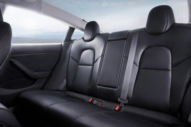 Full-Day Driver with Tesla Car-Customisable North Island Tour - Who Should Book This Tour?