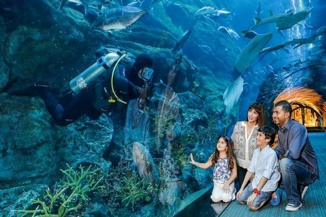 Full Day Dubai City Tour With Burj Khalifa & Underwater Zoo Ticket - Traveler Photos and Reviews