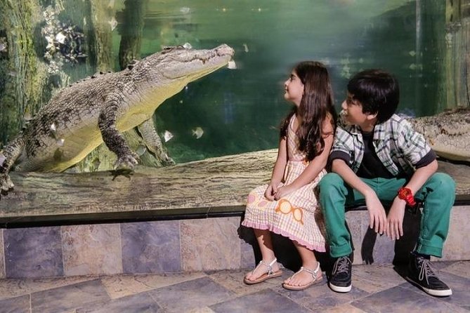 Full Day Dubai City Tour With Burj Khalifa & Underwater Zoo Ticket - Questions and Pricing