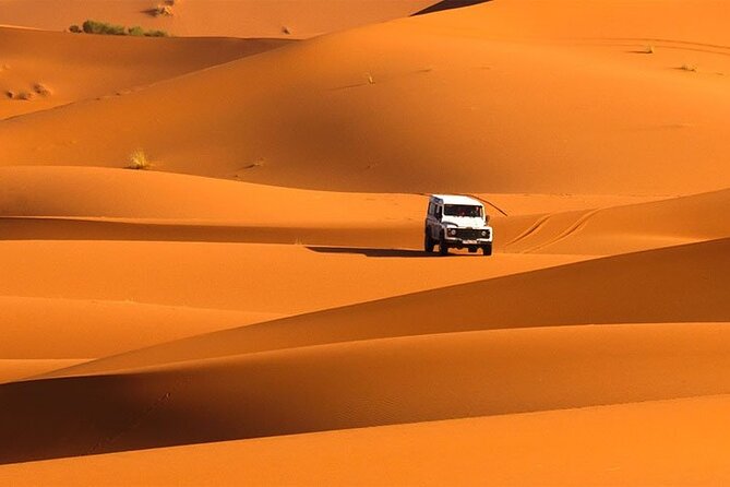 Full Day Dubai Desert Safari - Common Questions