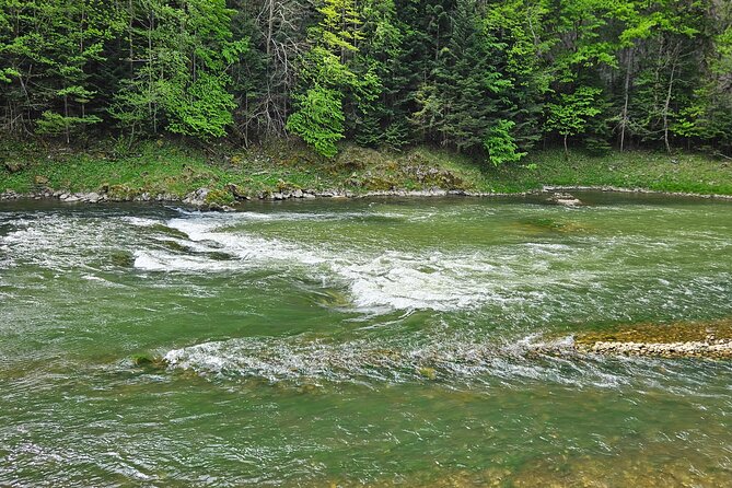 Full-Day Dunajec River Rafting Private Tour From Krakow - Accessibility and Participation Details