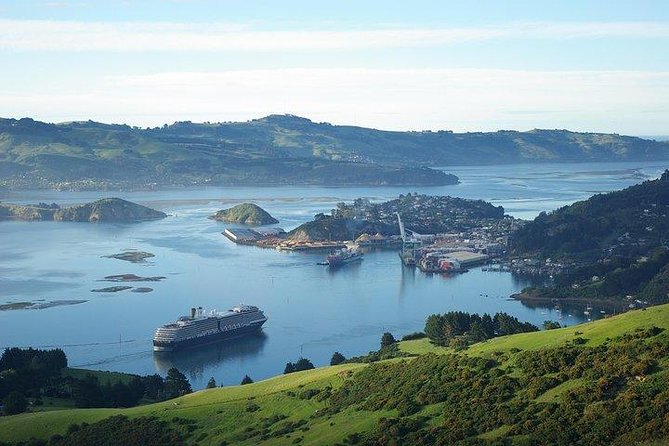 Full-Day Dunedin Tour From Cruise Port  - Port Chalmers - Reviews