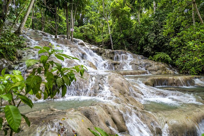 Full Day Dunns River and Nine Miles With Lunch - Pick-Up and Transportation Details