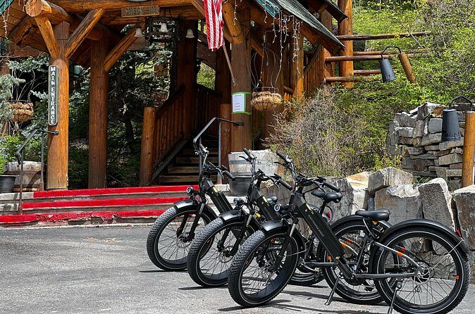 Full-Day E-Bike Rental in Flathead Valley - Authentic Experiences from Reviewers
