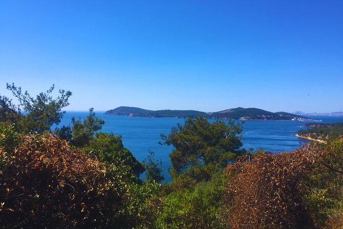 Full-Day E-Bike Tour to Buyukada - Lunch at Yücetepe Kir Gazinosu Restaurant