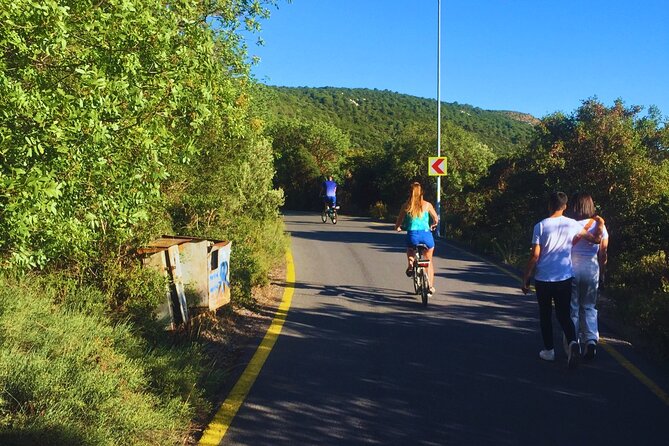Full-Day E-Bike Tour to Buyukada - Meeting and Pickup Information