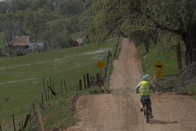 Full Day E-biking in the Sierra Foothills (Mariposa) - Good To Know