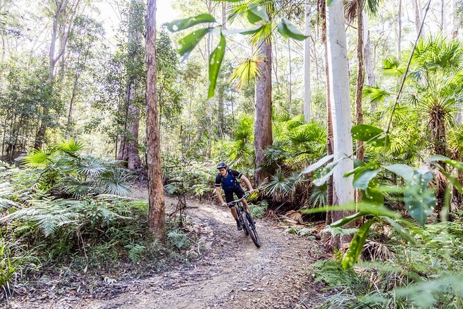 Full Day E Mountain Bike and Kayak in Noosa - Fitness and Experience Requirements