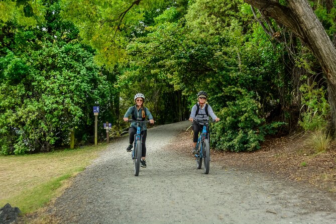 Full-Day E-Mountain Bike Rental in Queenstown - Overview and Inclusions