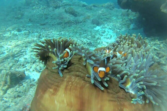 Full Day East Bali Tour - What Reviewers Have Said