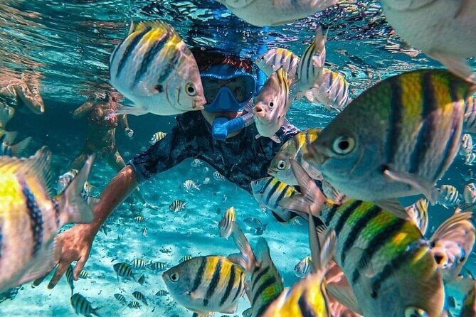 Full Day East Bali Tour - Final Thoughts: Is This Tour Right for You?