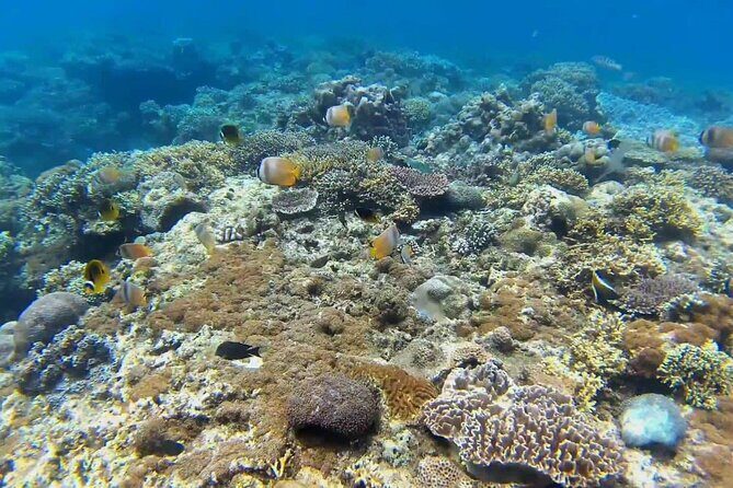 Full Day East Bali Tour - FAQ