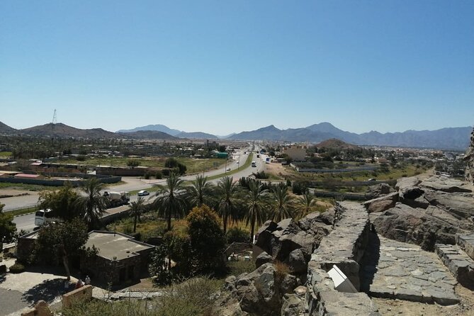 Full-Day East Coast Private Tour to Fujairah From Dubai - Pricing