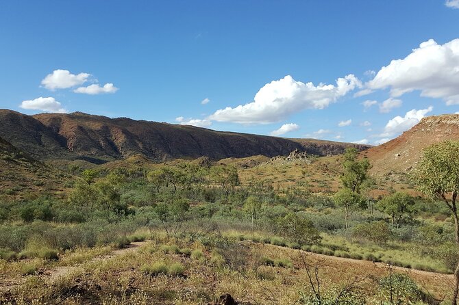 Full-Day East MacDonnell Ranges VIP Private Tour - The Sum Up