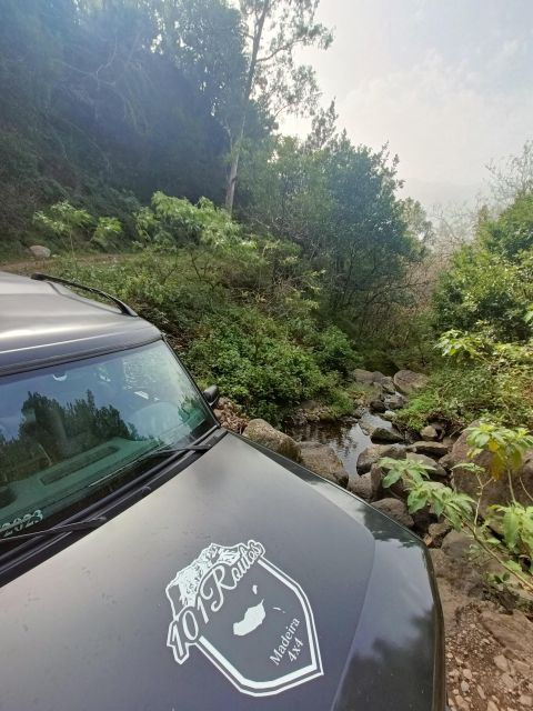 Full Day East Tour 4x4 in Madeira Islands - Experience, Inclusions, and Restrictions