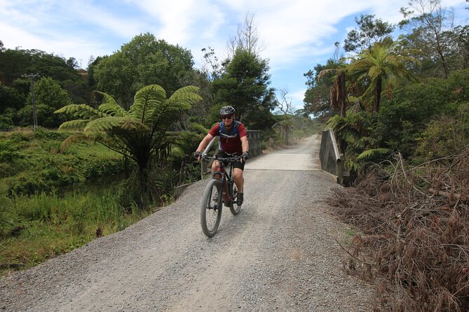 Full Day Ebike Tour in Karangahake Gorge (ex Auckland) - Reviews and Pricing