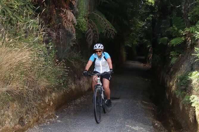 Full Day Ebike Tour in Karangahake Gorge (ex Auckland) - The Sum Up