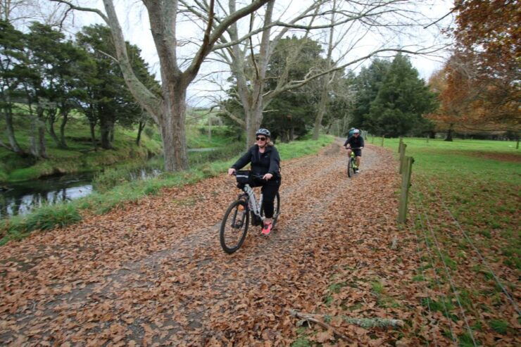 Full Day Ebike Tour - Karangahake Gorge NZ - Tour Details