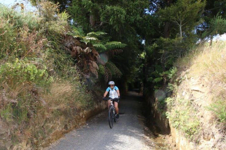 Full Day Ebike Tour - Karangahake Gorge NZ - Highlights