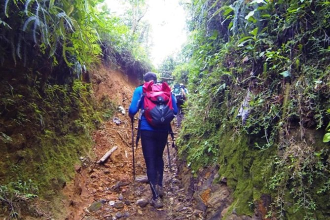 Full-Day Eco Extreme Tour Near Bogota - Customer Reviews