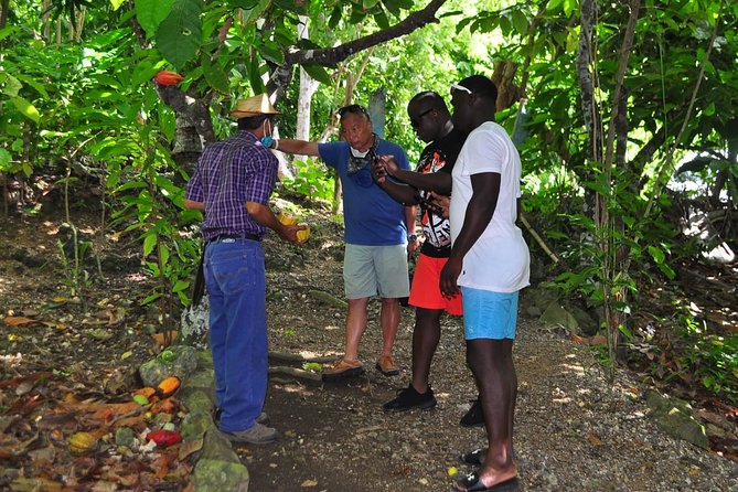 Full Day Eco Safari Adventure and Cultural Tour - Itinerary Highlights