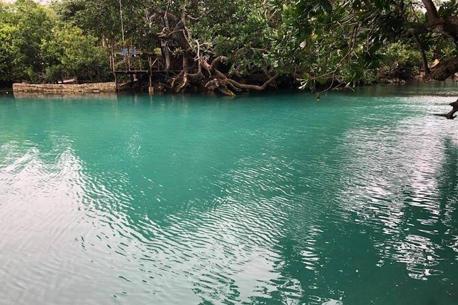 Full-Day Efate Round Island Trip with Yumi Tours - What Makes This Tour Stand Out