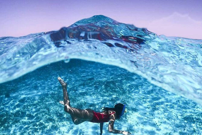 Full-Day El Cielo Snorkel Tour in Cozumel with Transportation and Lunch - Good To Know