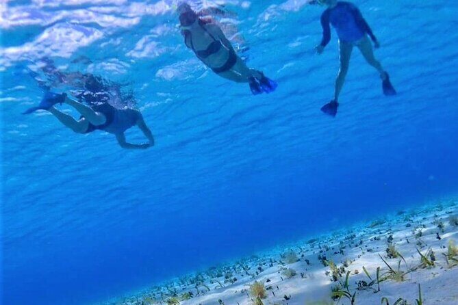 Full-Day El Cielo Snorkel Tour in Cozumel with Transportation and Lunch - Exploring the Day: What’s Included and What to Expect