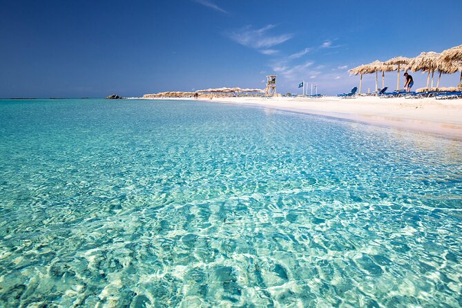 Full Day Elafonissi Beach & Honey Tour - Tour Overview