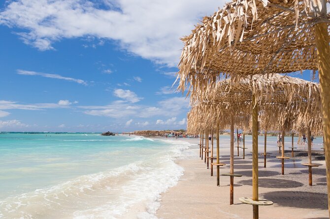 Full Day Elafonissi Beach & Honey Tour - Honey Making and Refreshments