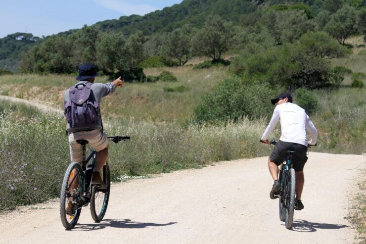 Full-Day Electric Bike Tour: Arrábida Nature Park - Experience Highlights
