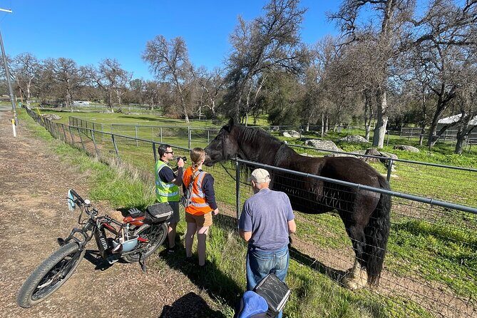 Full Day Electronic Bike and Rock Climbing Tour - FAQ