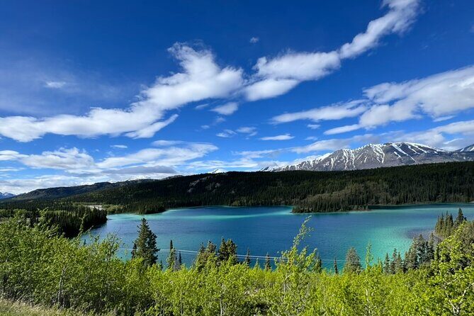 Full Day Emerald Lake Tour with or without Huskies - An In-Depth Look at the Itinerary