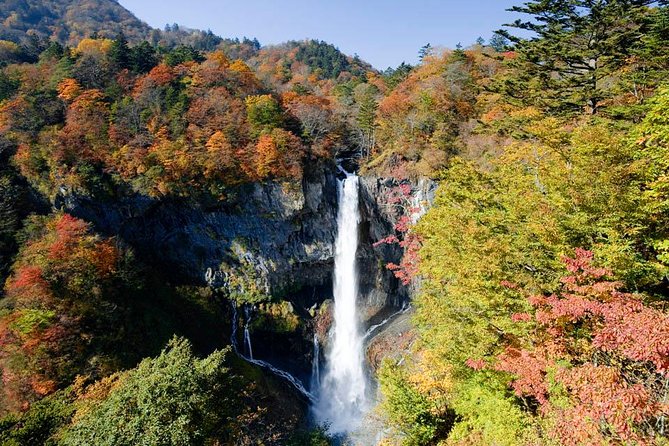Full Day Enjoy Nature Nikko To-And-From Tochigi Pre. up to 12 - Booking Information and Reservation Process