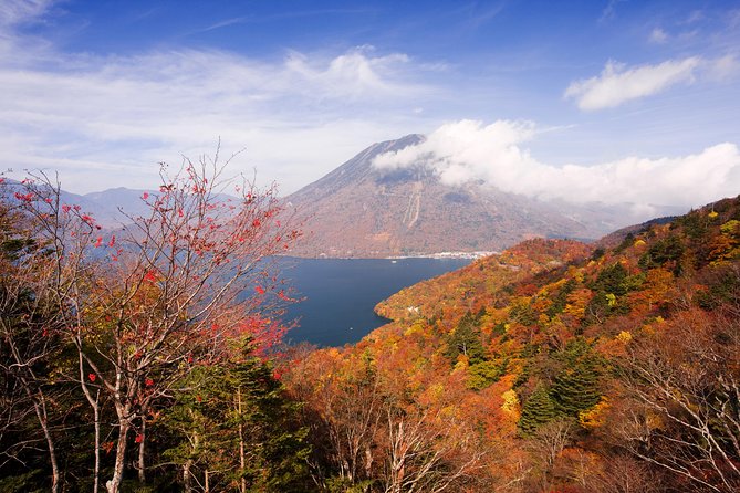 Full Day Enjoy Nature Nikko To-And-From Tochigi Pre. up to 12 - Overview of the Private Tour and Its Highlights