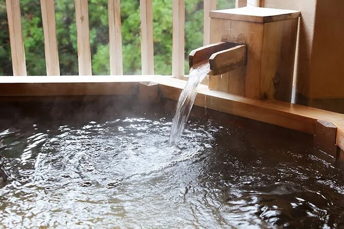 Full-Day Enoura Observatory and Hakone Hot Spring Private Tour - Tour Highlights