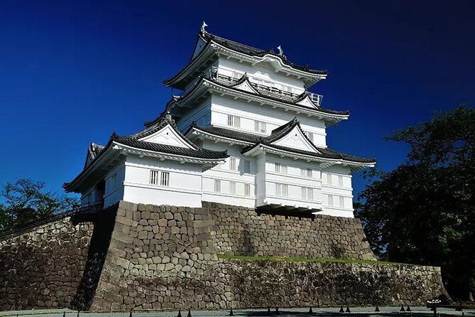 Full-Day Enoura Observatory and Hakone Hot Spring Private Tour - Enoura Observatory Experience