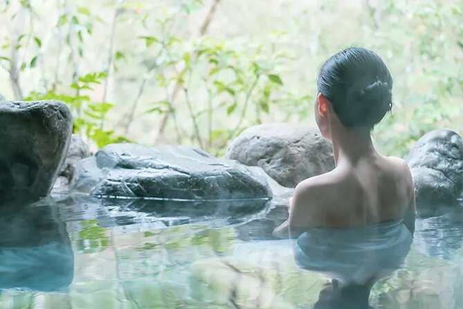 Full-Day Enoura Observatory and Hakone Hot Spring Private Tour - The Sum Up