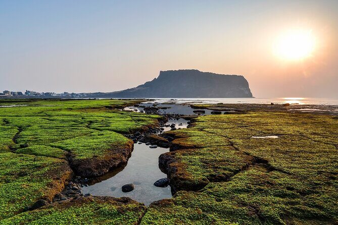 Full Day Essential Jeju Island Private tour for West Course - What Sets This Tour Apart