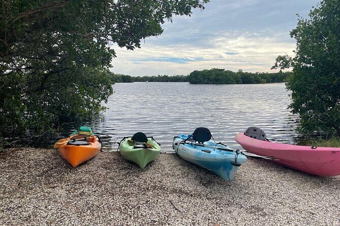 Full Day Everglades Combo Motorboat Eco and Kayak Tour - The Sum Up