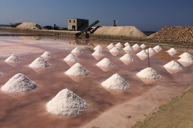 Full Day Exclusive Excursion to Segesta, Erice & Trapani Salt Flats From Palermo - Lunch at a Traditional Restaurant