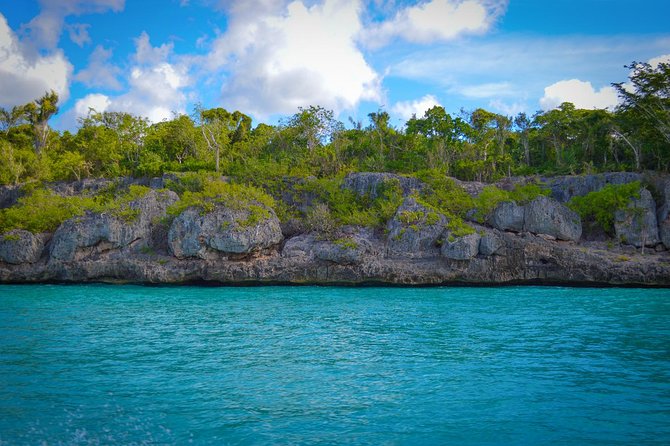 Full-Day Excursion in Saona Island - Customer Reviews and Feedback