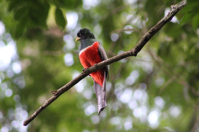 Full Day Excursion to Calakmul and Balamkú From Campeche - Additional Information